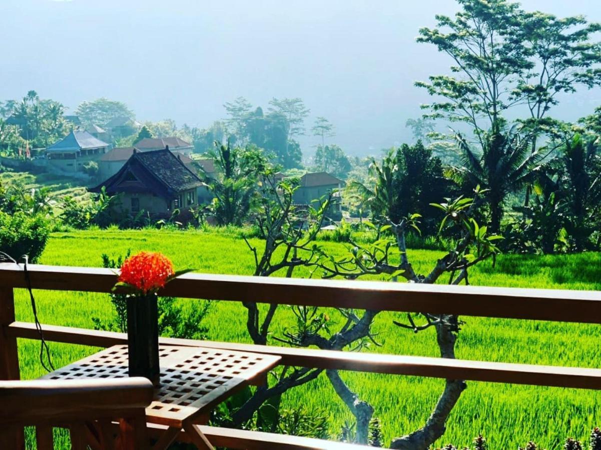 Noka Homestay Sidemen  Luaran gambar
