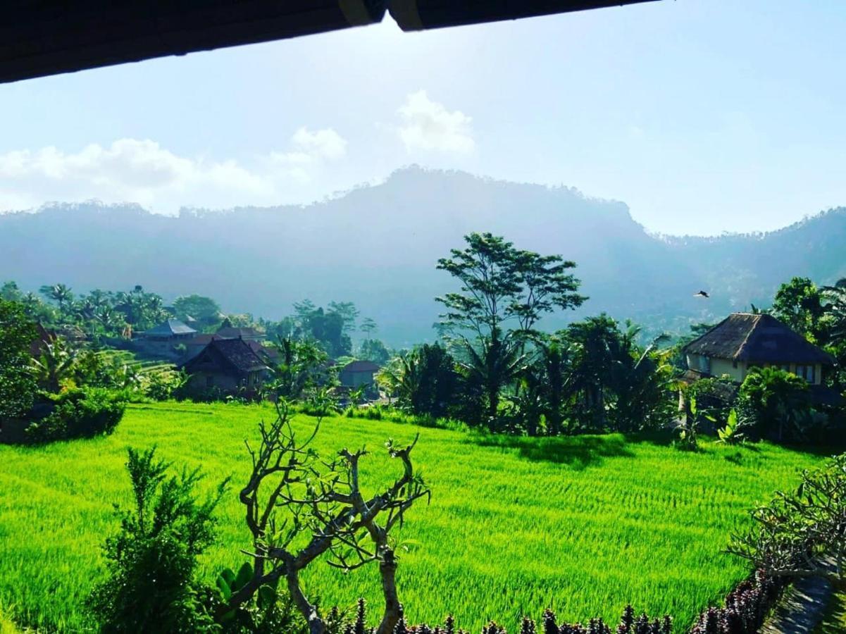 Noka Homestay Sidemen  Luaran gambar