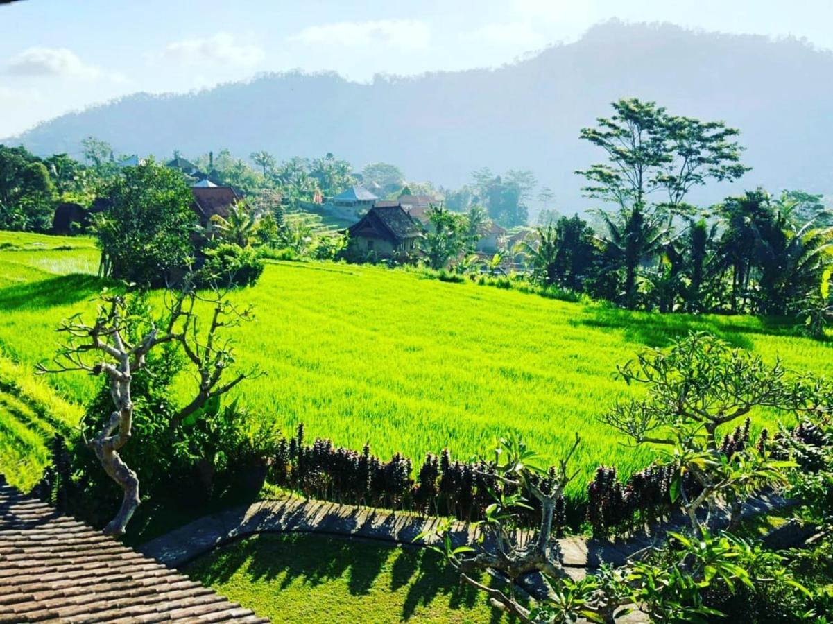 Noka Homestay Sidemen  Luaran gambar